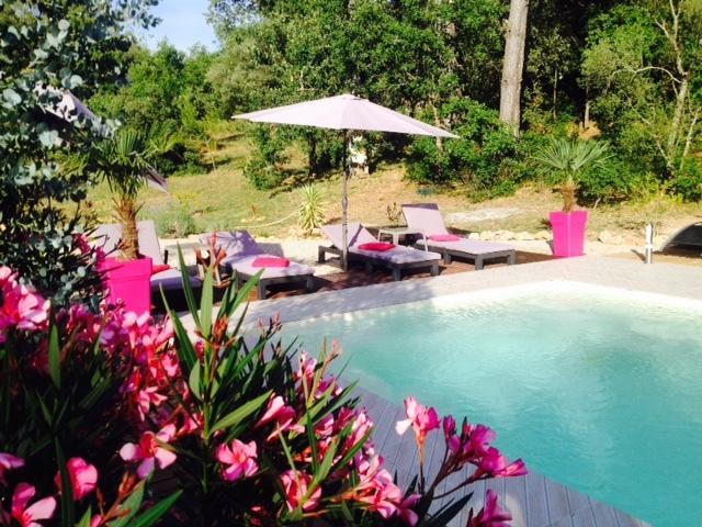 La Bastide De L'Issole Apartment Besse-sur-Issole Ruang foto